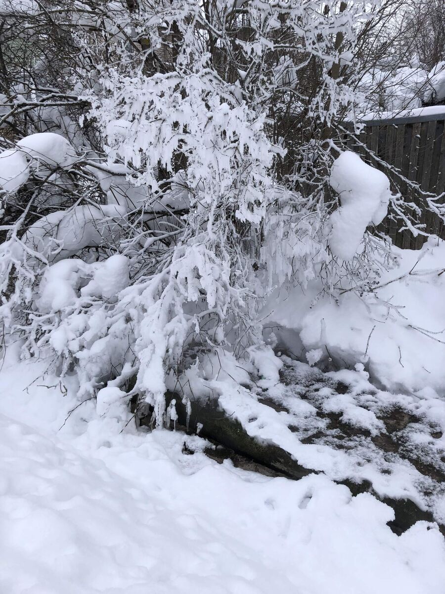 Весна журчит.