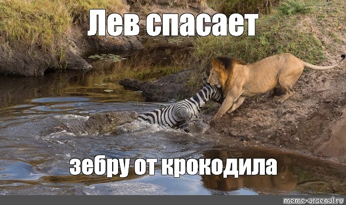 Ну как-то так... 