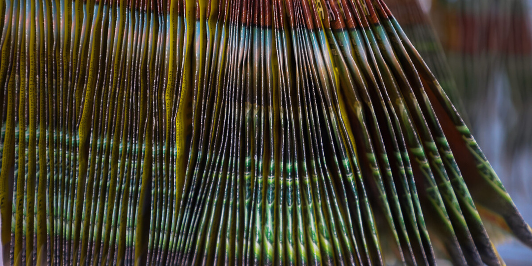 Нужно ли обеззараживать семена перед посевом? Отвечает садовод