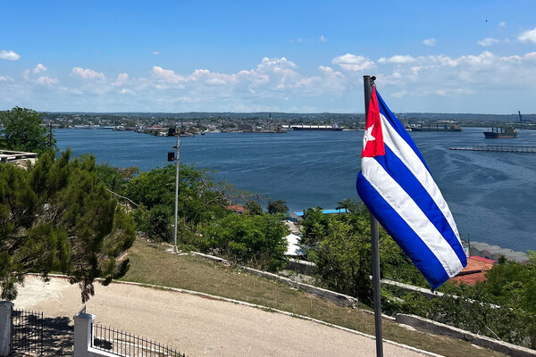 Colinmthompson/Shutterstock/FOTODOM   📷