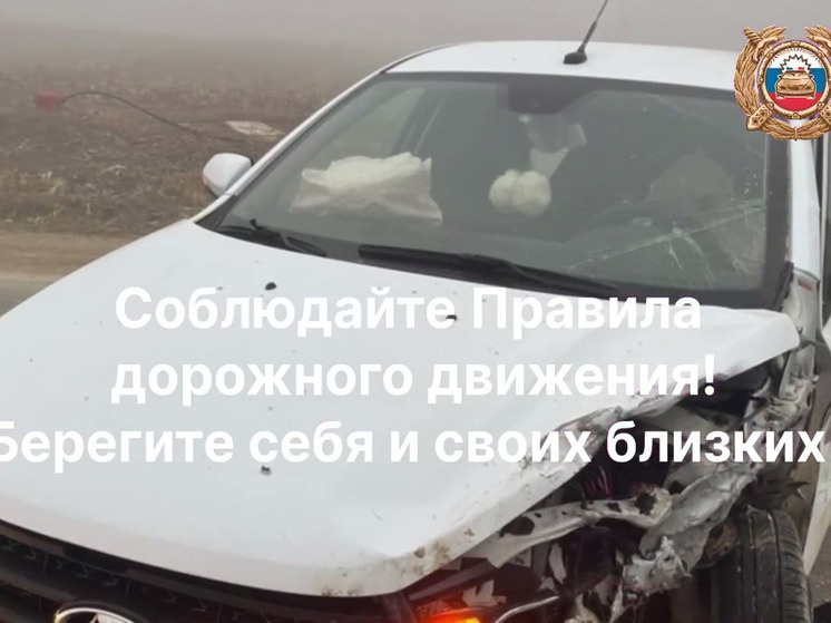     Фото: Госавтоинспекция МВД по Республике Дагестан.