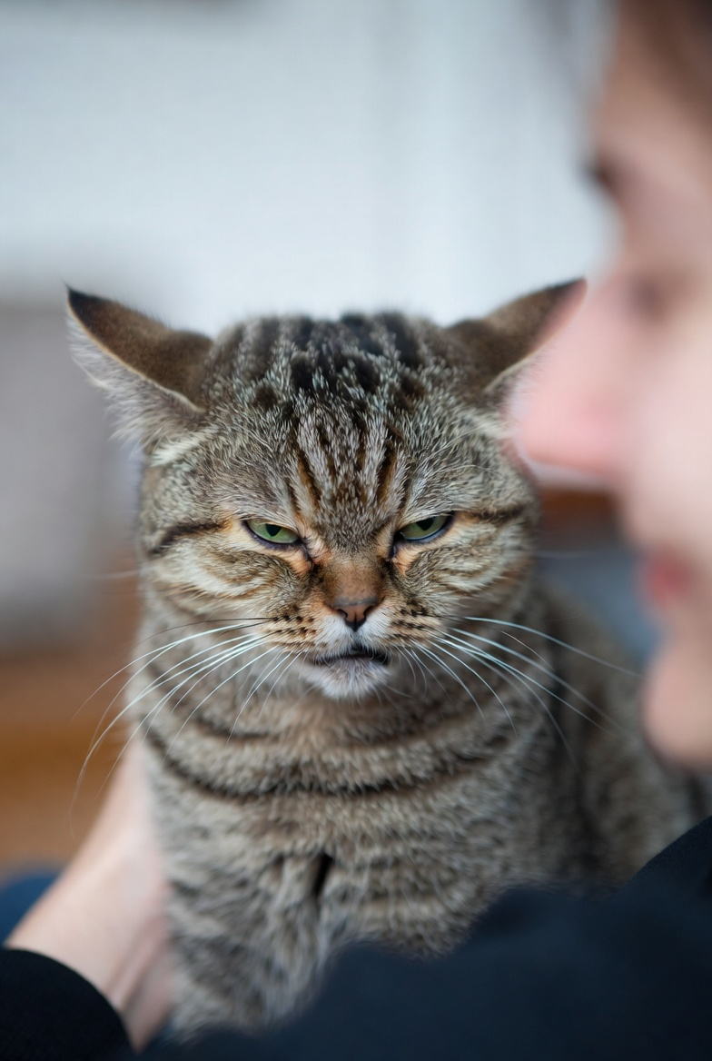 Вгляд "Получишь ты у меня сейчас"