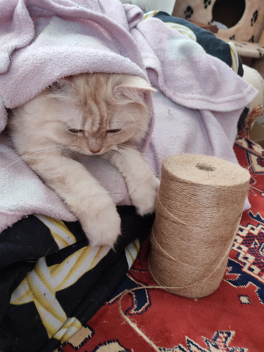 Просто фото работника года для разбавления текста