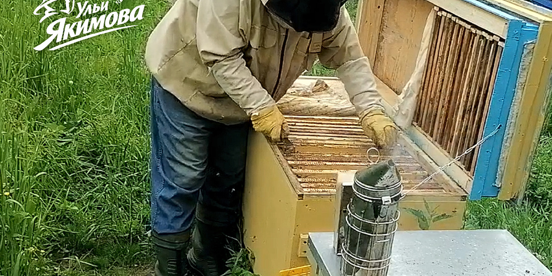Осмотр гнезда без разбора — контроль семьи без поднятия тяжёлых корпусов и магазинов