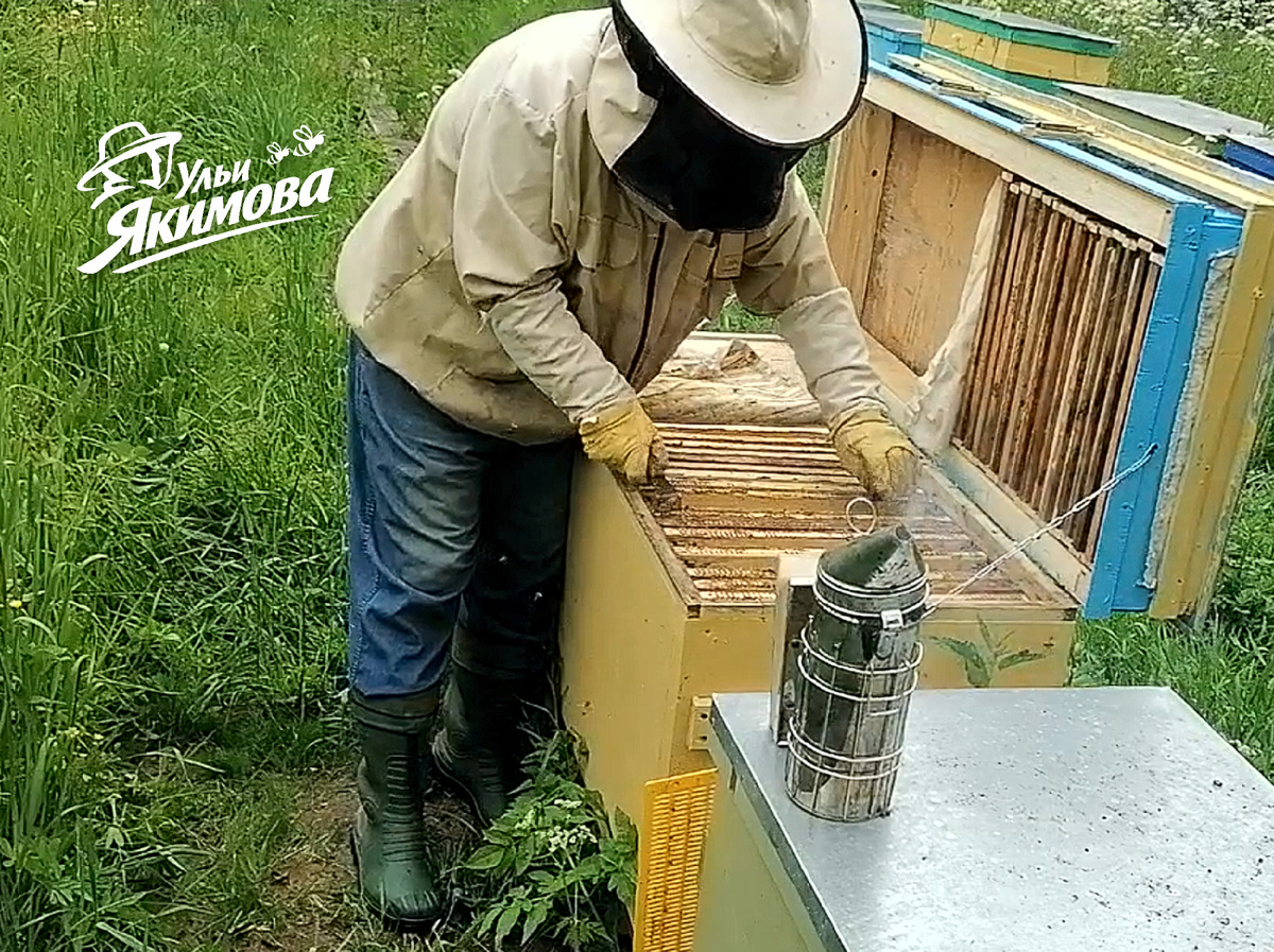 Ульи-лежаки Якимова