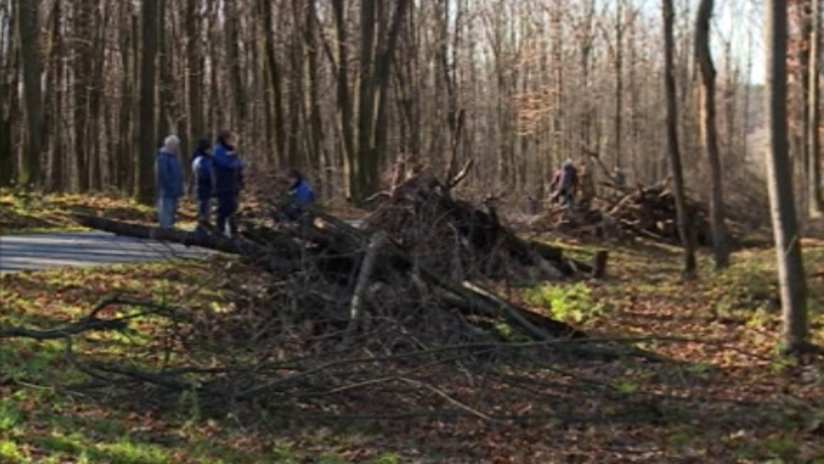    Весной в курском регионе начнутся первые субботники