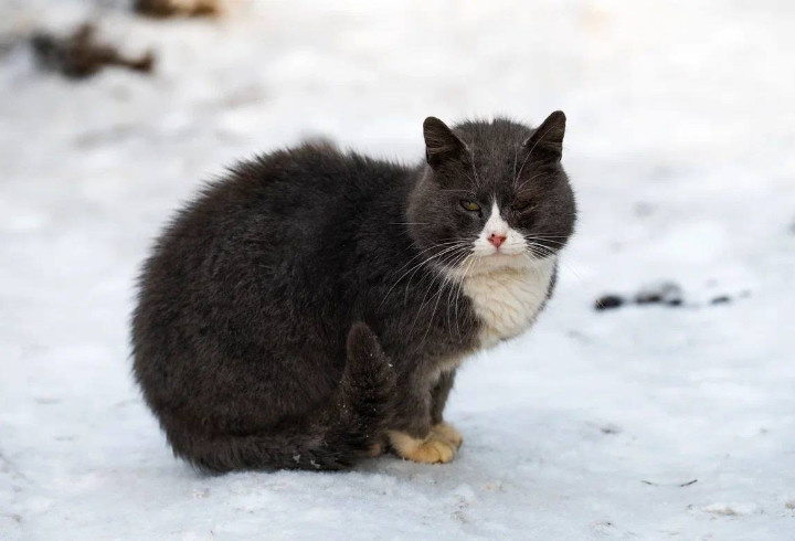 фото: Telegram-канал Александра Дрозденко