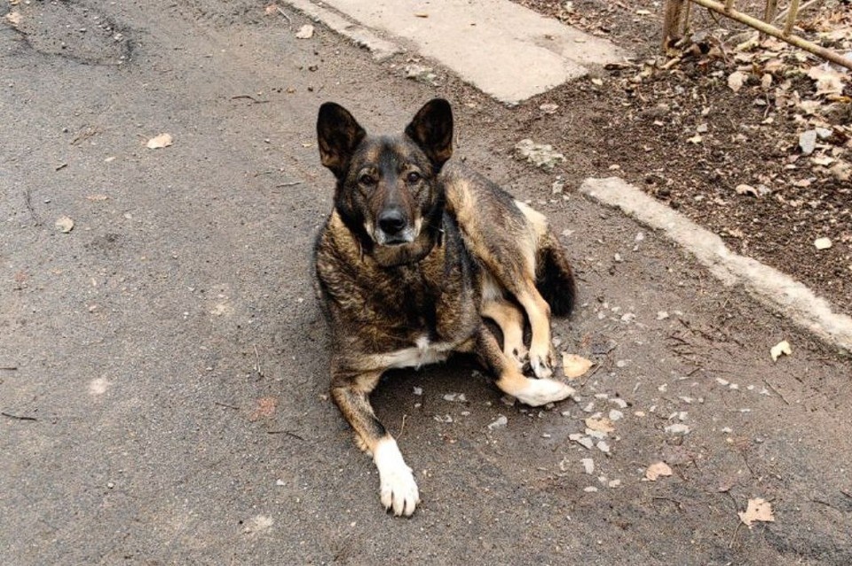    Фото: Ольга Григорьева