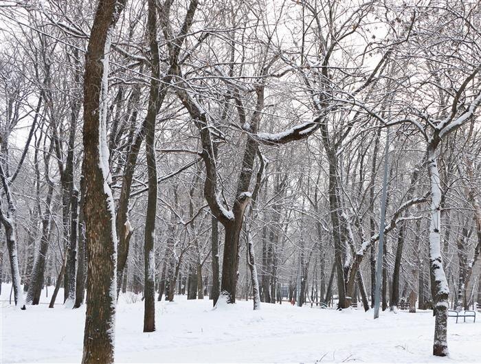    ФОТО: Белова Александра