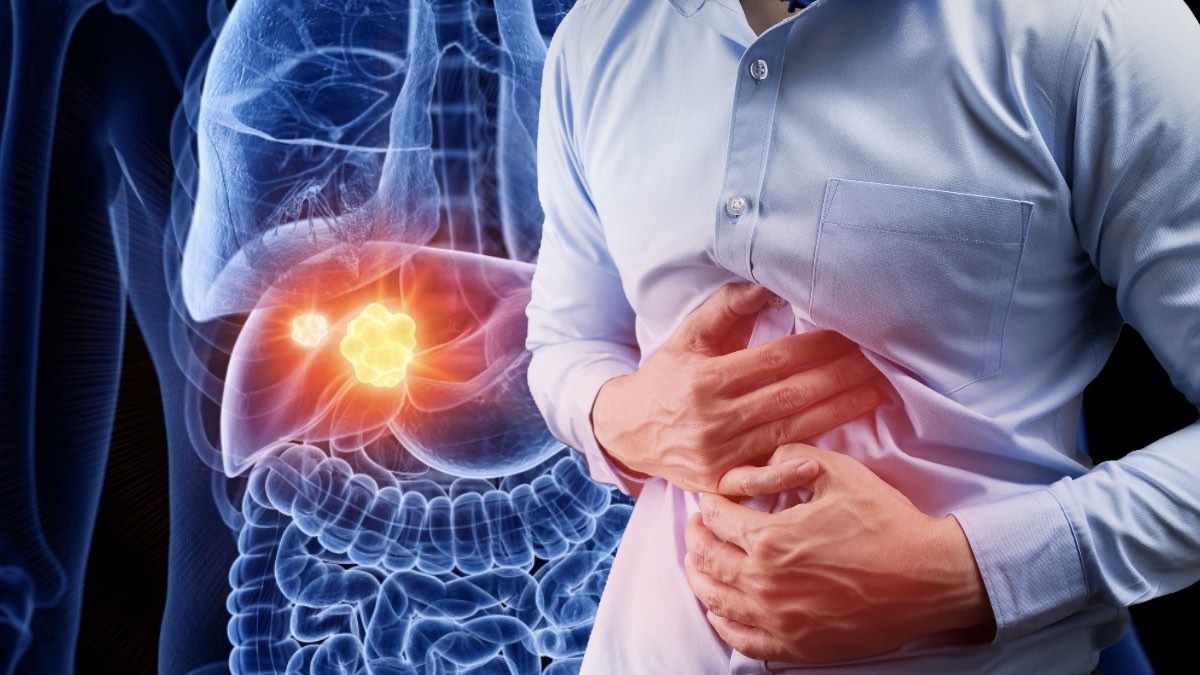 Фото Яндекс Картинки