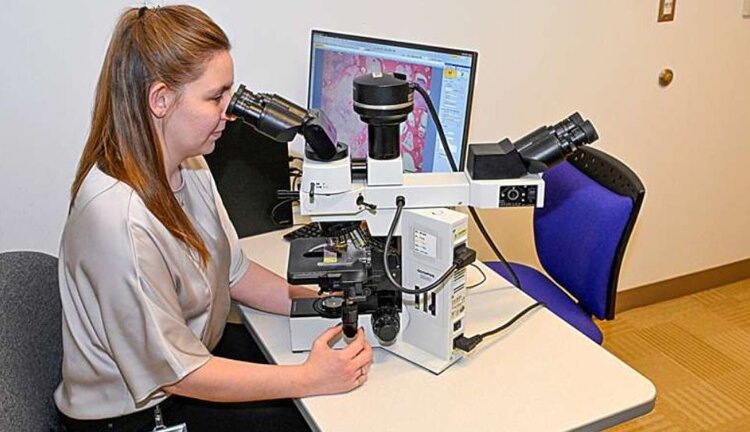    Фото: Вклад кошек в изучение рака у людей огромен: от домашних животных до прецизионной медицины