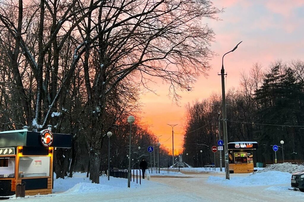    Марина Тесла