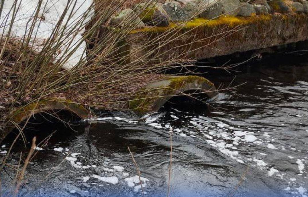    фото: © Игорь Подгорный