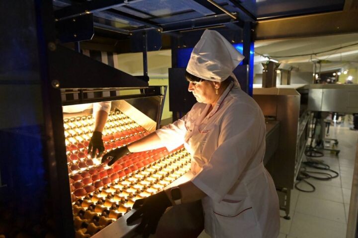    Фото:Пресс-служба министерства сельского хозяйства и продовольствия Хабаровского края