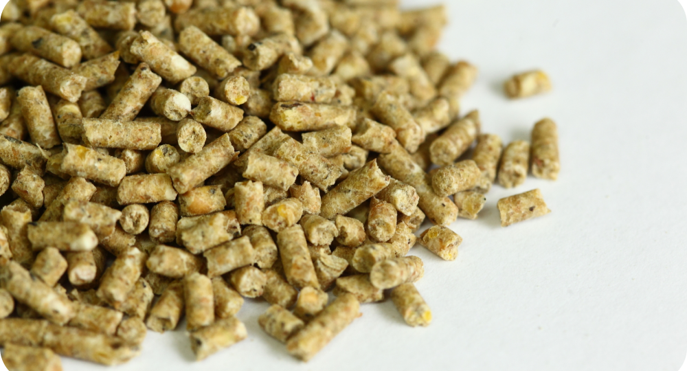 Транспортировка и хранение престартерного комбикорма: как не испортить продукт до кормушки