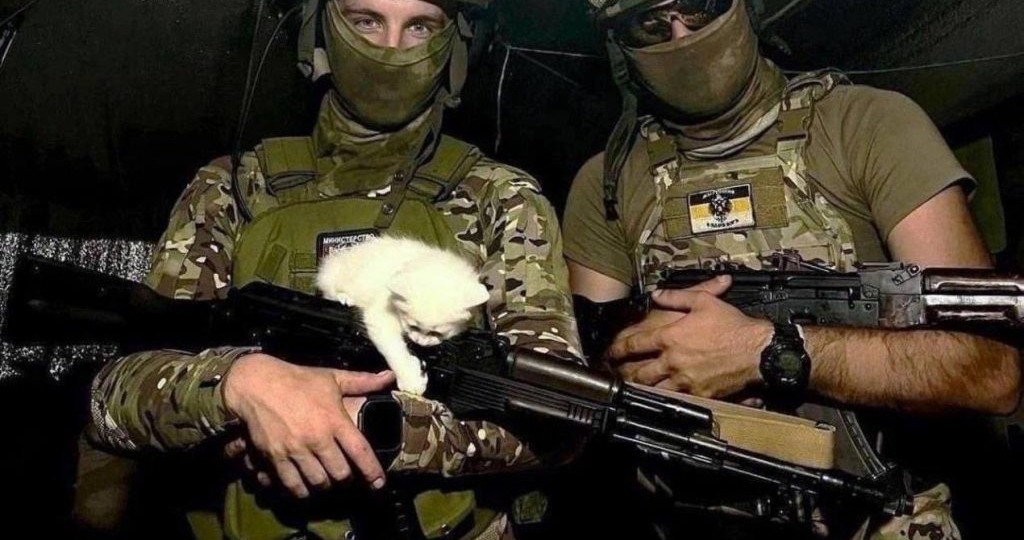 Боевой питомец