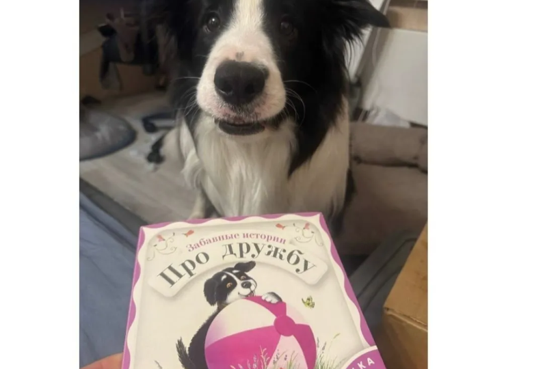 НАЙДИ КНИГУ!