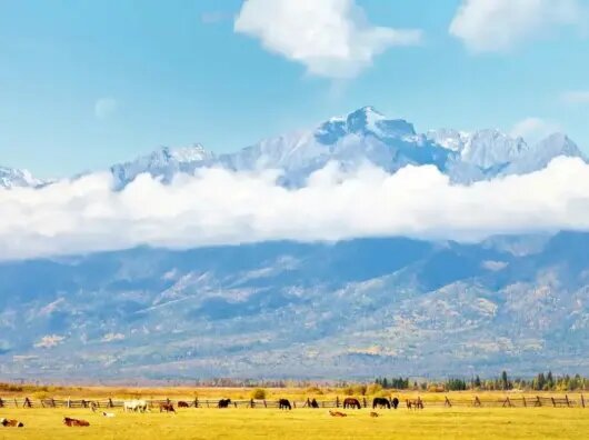    Бурятия // Фото Сергея Рыбакова