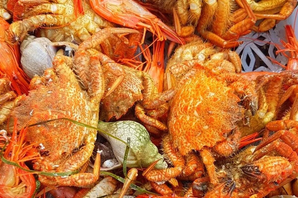    Матушка Александра: морепродукты можно есть во время Великого поста