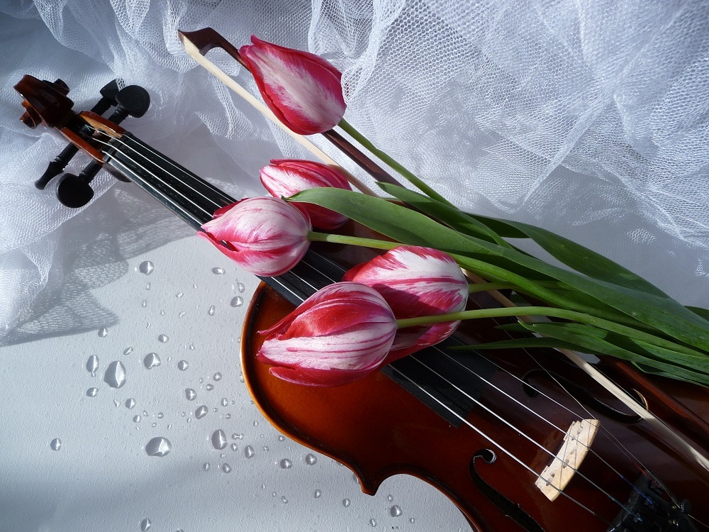 В иллюстративных целях