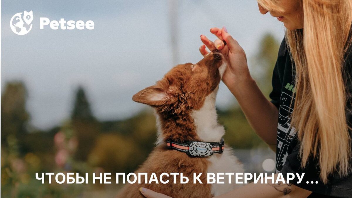 10 продуктов, которые нельзя давать собаке