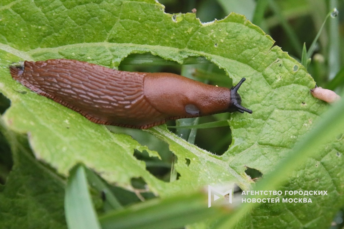 Фотограф: Василий Кузьмичёнок