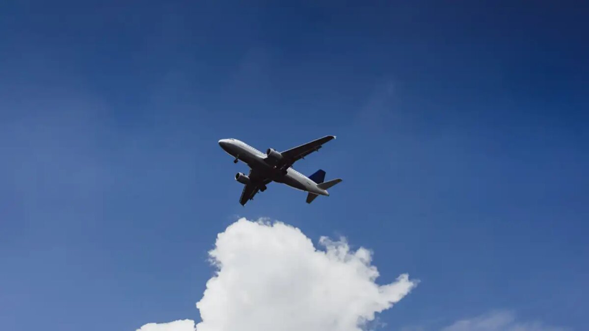    Самолёт. © freepik.com/Kireyonok_Yuliya