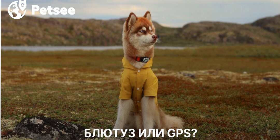 GPS-трекер против метки-монетки Bluetooth?