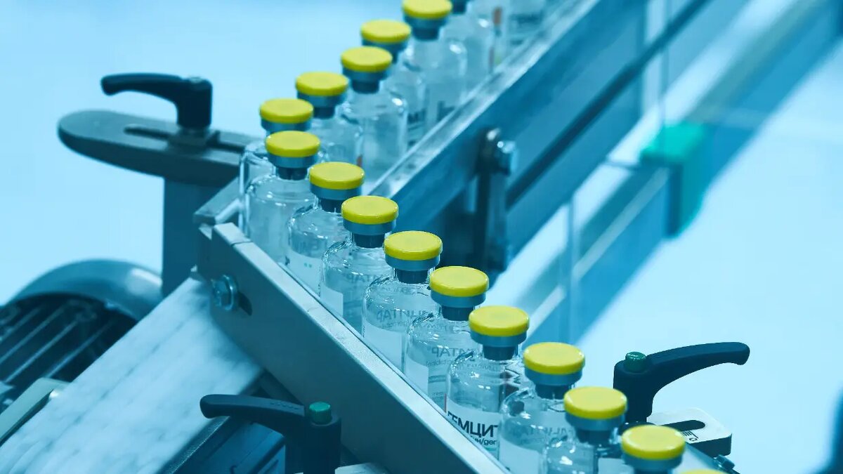    Фото: vm.ru Ева Журавлева