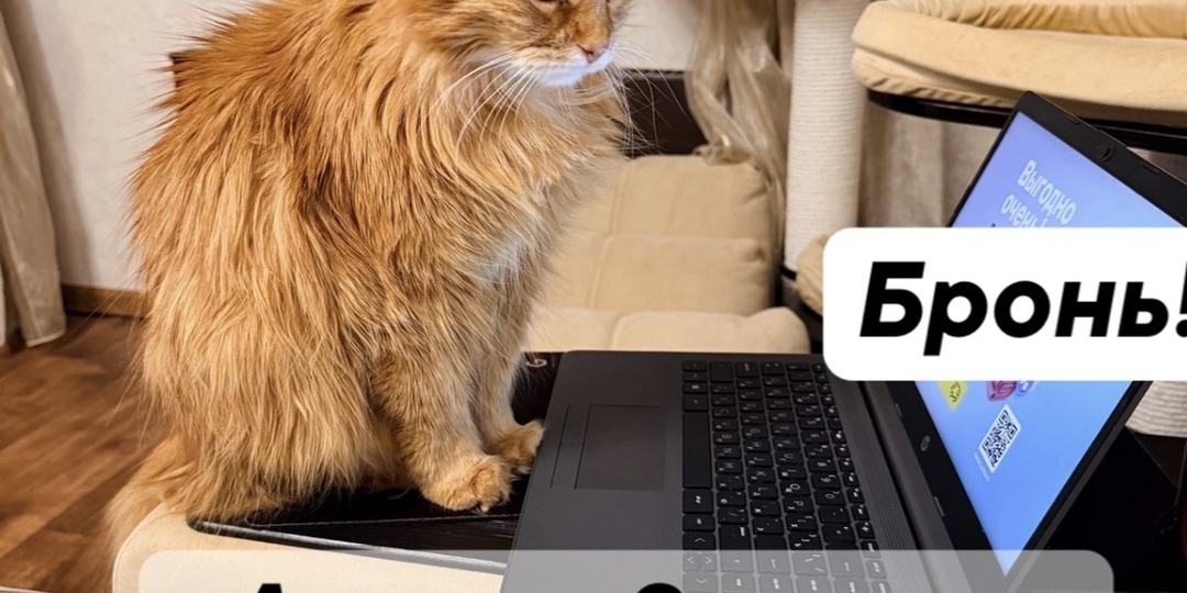 Акция «Зимнее бронирование»: осталось 9 дней, скидка 10% и 15%