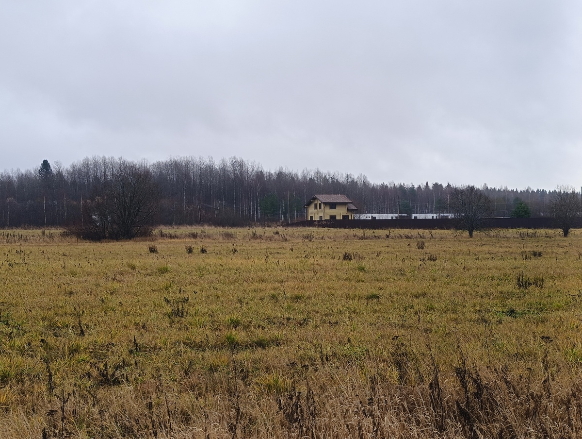    фото: © Столица на Онего