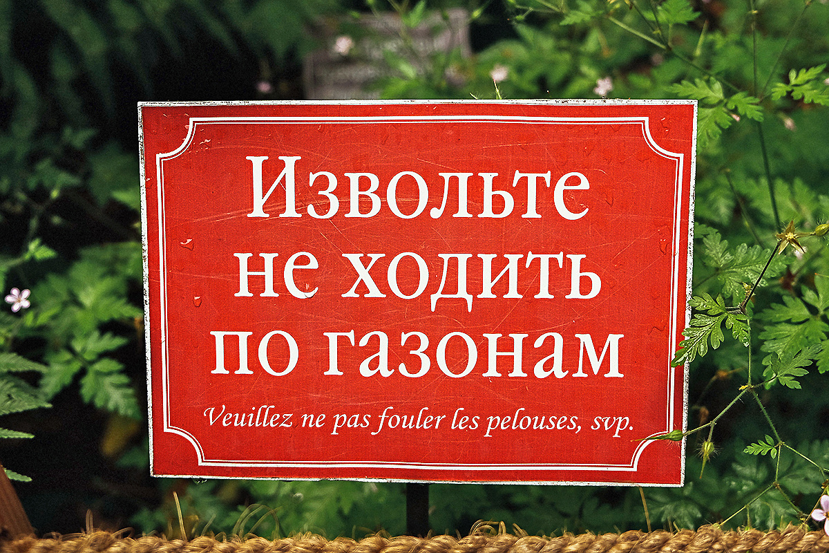 Читайте также   IT или ИТ, вот в чем вопрос: ИТ-компании готовятся к вступлению в силу закона о защите русского языка
C 1 марта 2026 г. вступит в силу федеральный закон №168-ФЗ. Согласно ему, информация для публичного ознакомления потребителей должна быть на русском языке. Изменения особенно актуальны для ИТ-отрасли, которая активно использует англицизмы. ИТ-компании опасаются, что закон может значительно повлиять на общение с заказчиками.