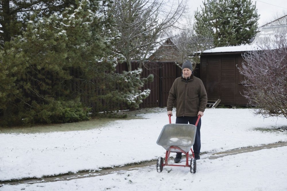    После зимы внимательно осмотрите территорию: не подтопило ли, не повредило ли снегом постройки. Это поможет вовремя заметить проблемы. / Фото: iStock