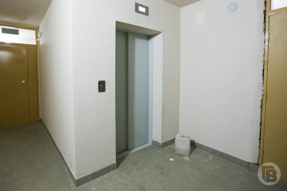    Фото: Данил Савченко / "Городские вести"