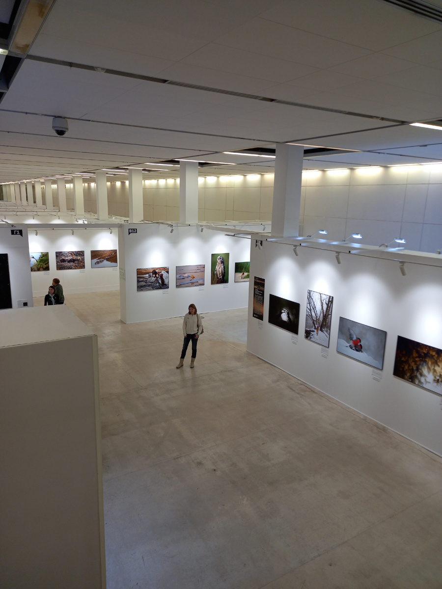 Фото автора.