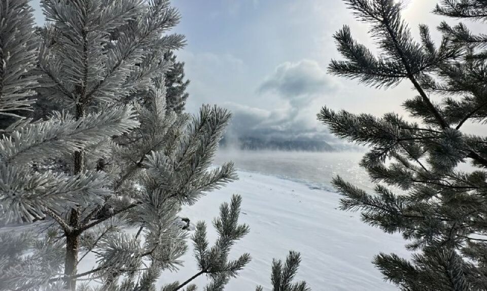    Морозное начало весны в Алтайском заповеднике. Источник: Роман и Татьяна Воробьевы / Алтайский заповедник