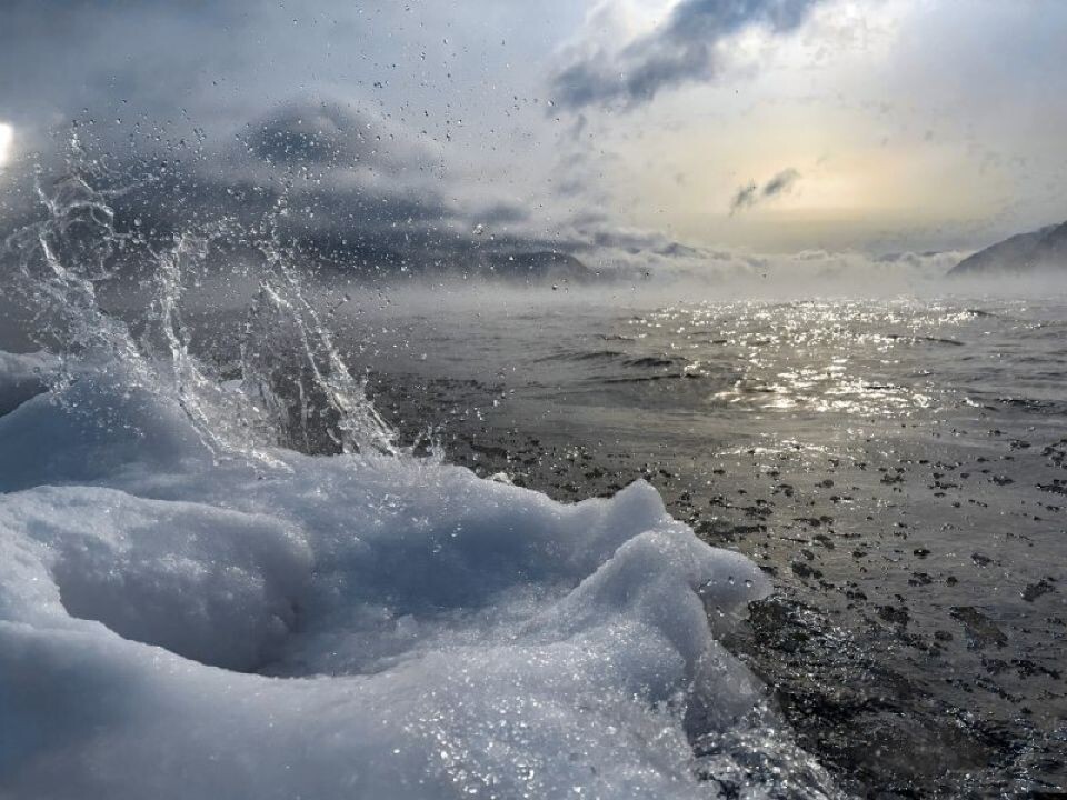    Морозное начало весны в Алтайском заповеднике. Источник: Роман и Татьяна Воробьевы / Алтайский заповедник