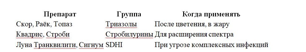 Таблица и фото Натальи Мироновой