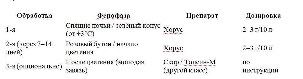  Плюсы: максимальная защита на всех уязвимых фазах, соответствует регламенту производителя.
❌ Минусы: высокая нагрузка, оба прохода Хоруса тратятся в апреле.