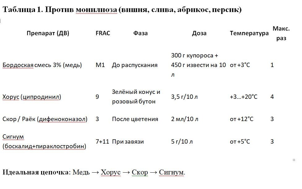 Таблица и фото Натальи Мироновой
