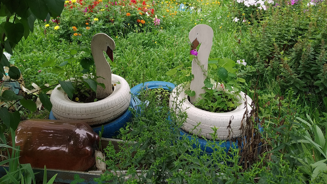 Изображение использовано с mo.tsargrad.tv