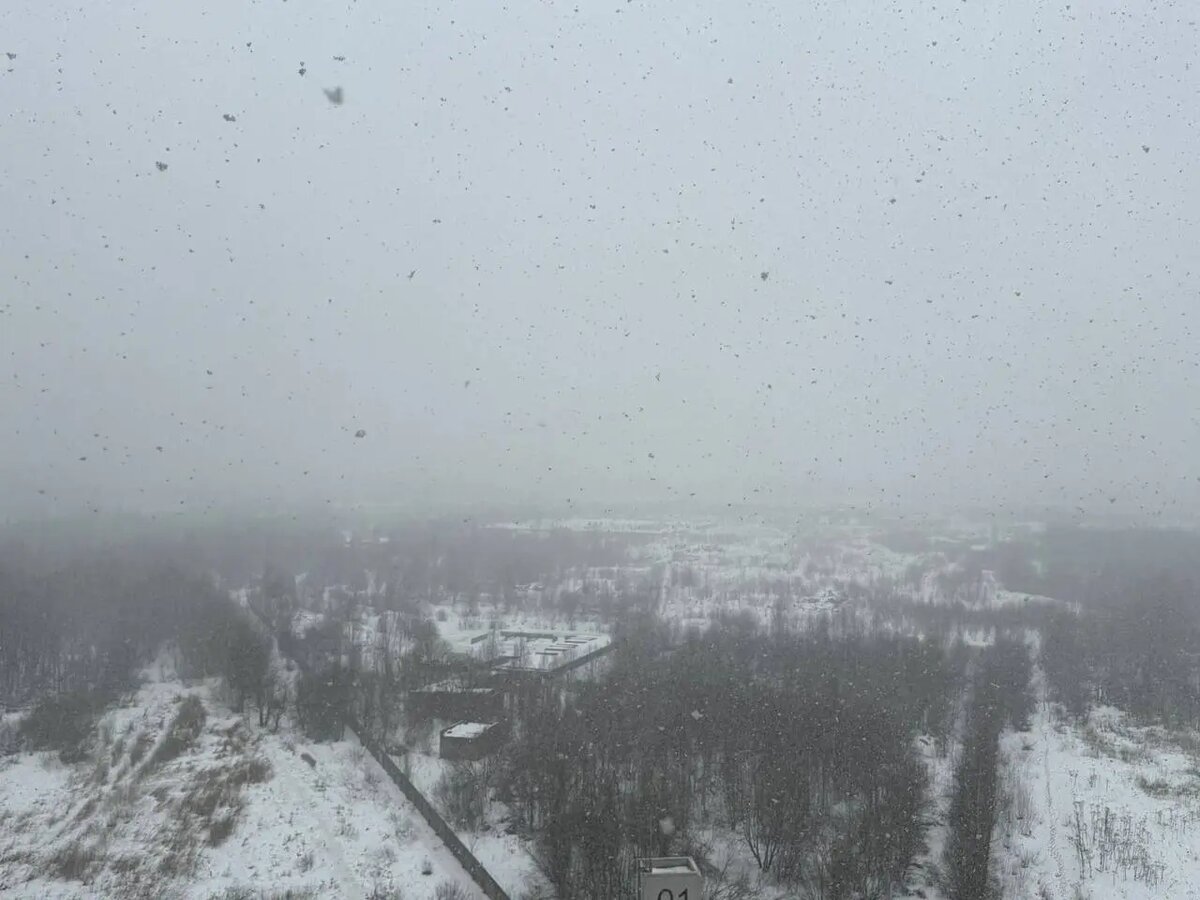    Фото: читательница Мойки78 Анна