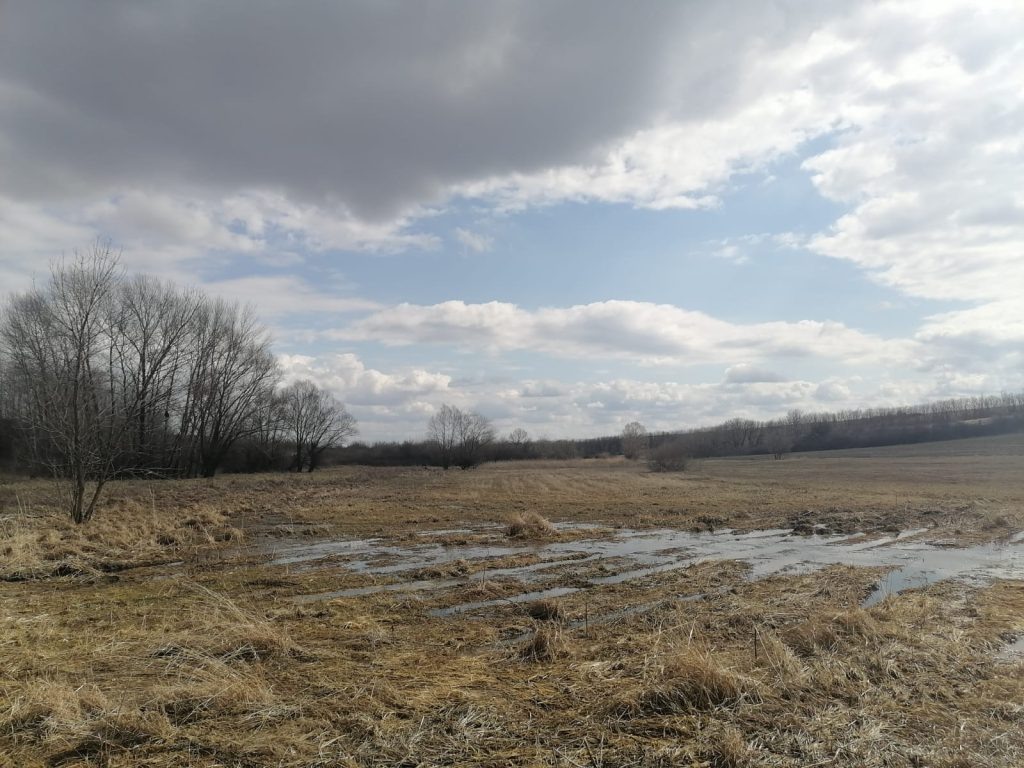    Фото: Е. Антонова Галина Ященко