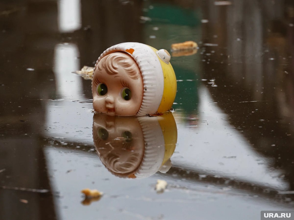     В Курганской области прогнозируют сильный паводок из-за обильных осадков