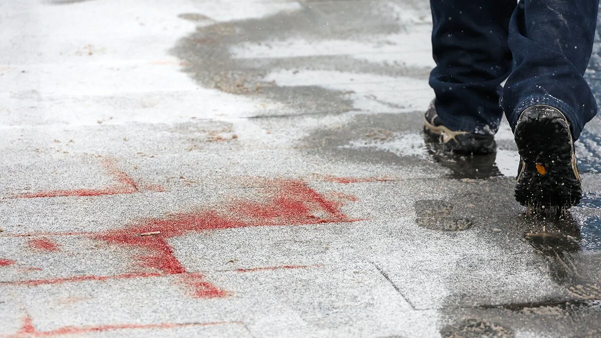   Сергей Фадеичев / ТАСС- Архивное фото