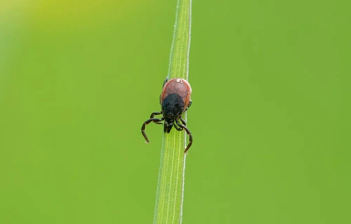 Фото: photogenica.ru