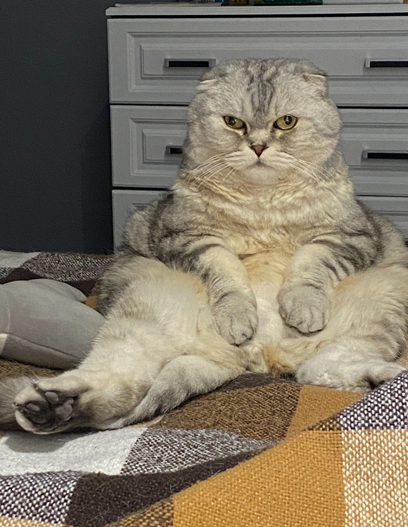 Из личного архива 