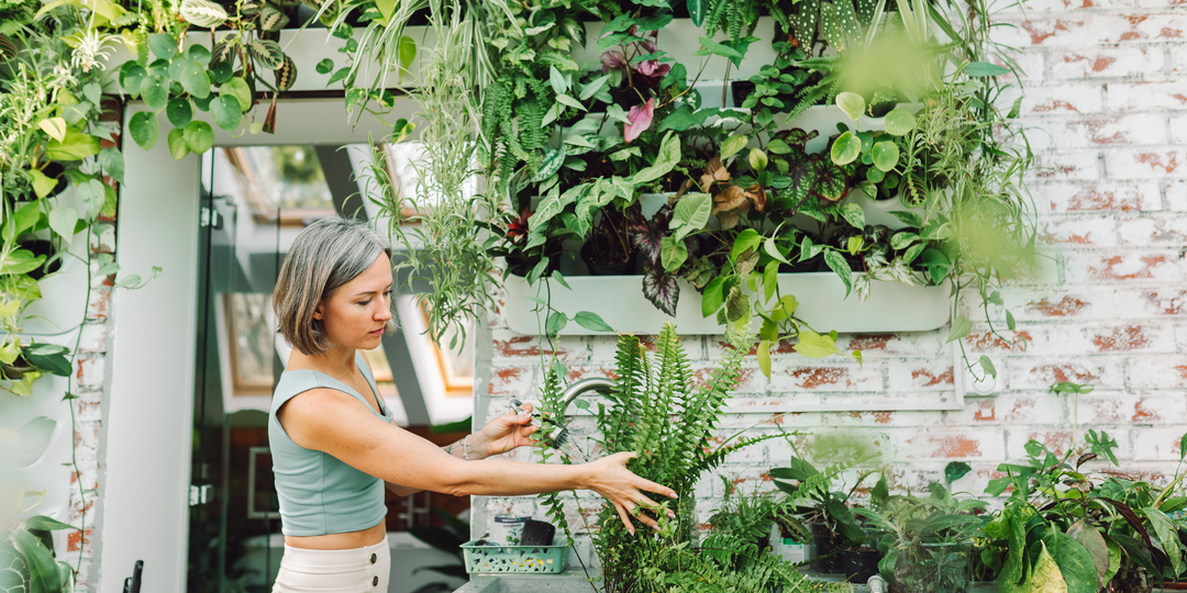 Домашние джунгли: красиво, но готовы ли вы к реальности?