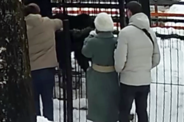 Кадр из видео/Telegram-канал «Mash на Мойке»  📷