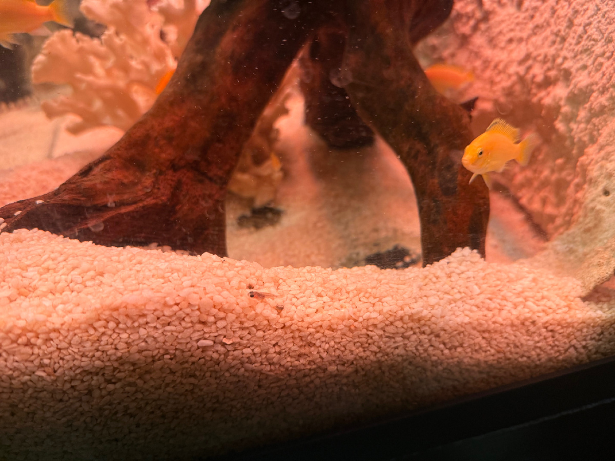 Малышику осталось жить всего пару секунд 🥲